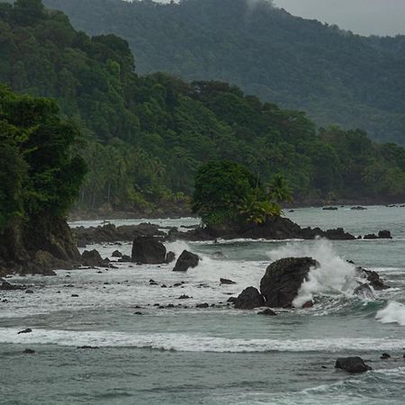 Reserva Natural Selva Mojada Hotel Nuquí Eksteriør billede