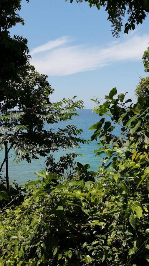 Reserva Natural Selva Mojada Nuquí Eksteriør billede