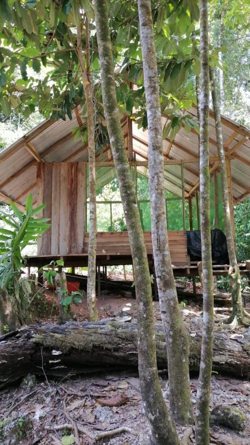 Reserva Natural Selva Mojada Nuquí Eksteriør billede