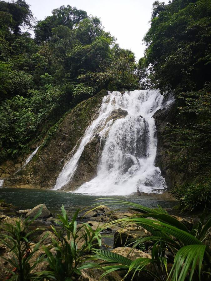 Reserva Natural Selva Mojada Hotel Nuquí Eksteriør billede