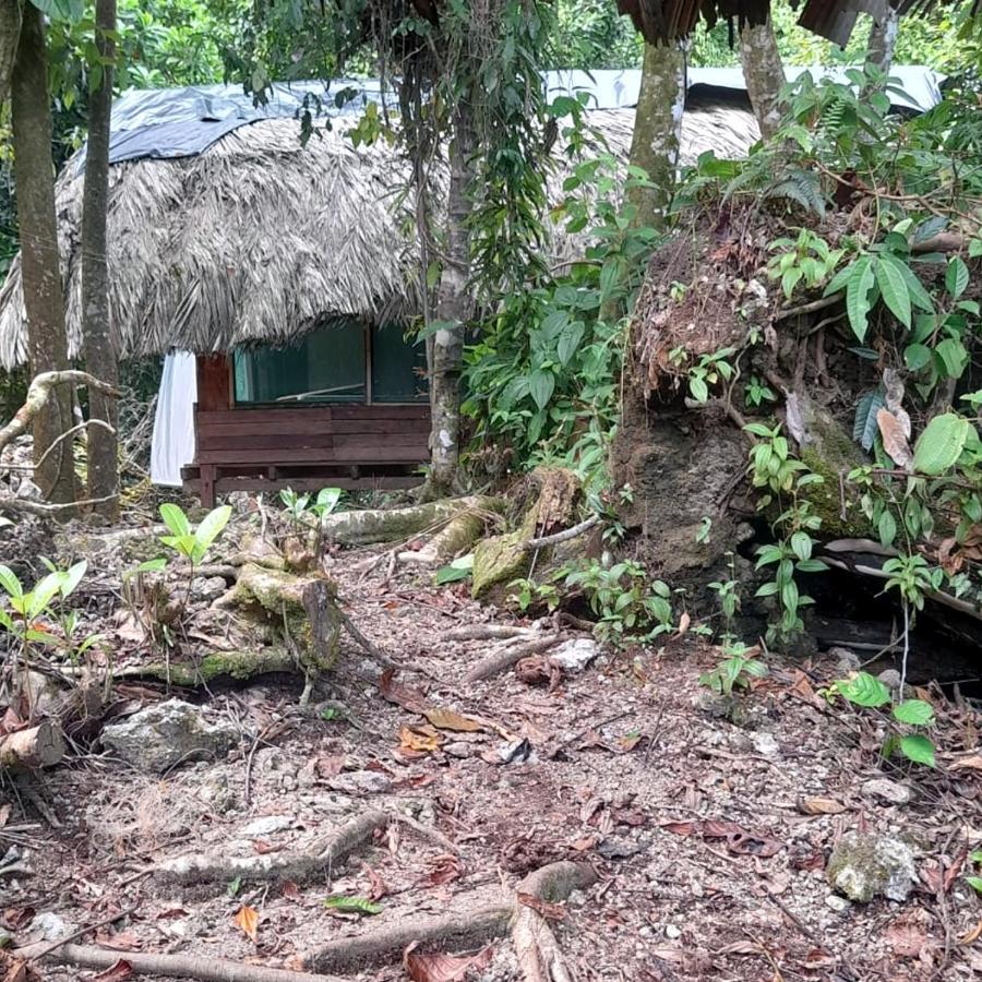 Reserva Natural Selva Mojada Nuquí Eksteriør billede